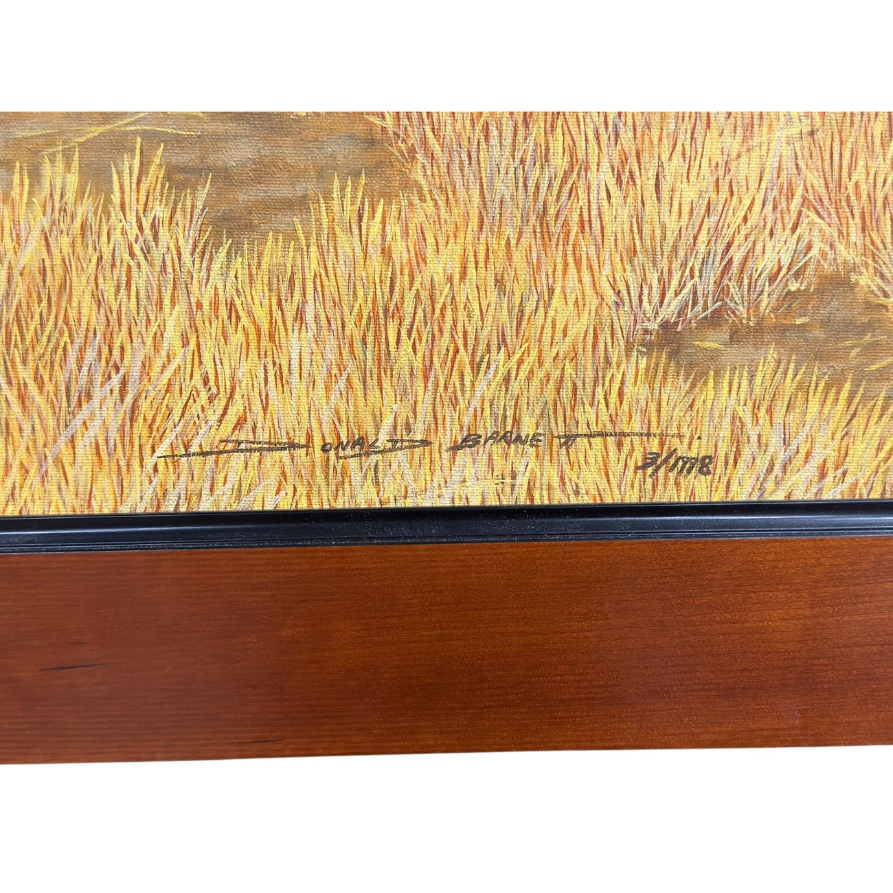 Donald Barnett Original Wildlife Painting — African Wild Dogs (Signed & Framed)