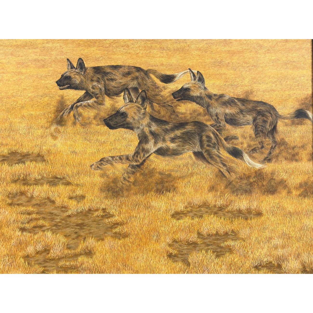 Donald Barnett Original Wildlife Painting — African Wild Dogs (Signed & Framed)